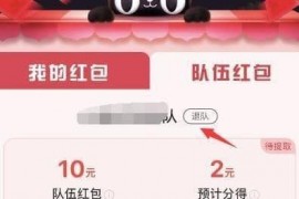 盖楼大挑战什么时候可以退队 天猫双11合伙人组队规则