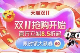 2025年淘宝双11全球狂欢季官方立减参与类目及折扣