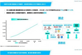 2023年快手磁力金牛酒行业营销洞察报告 