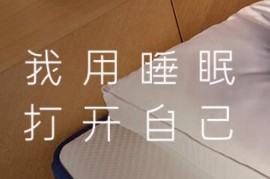 如何将季度销售额提升至类目top10？新锐原创互联网睡眠品牌给你答案 